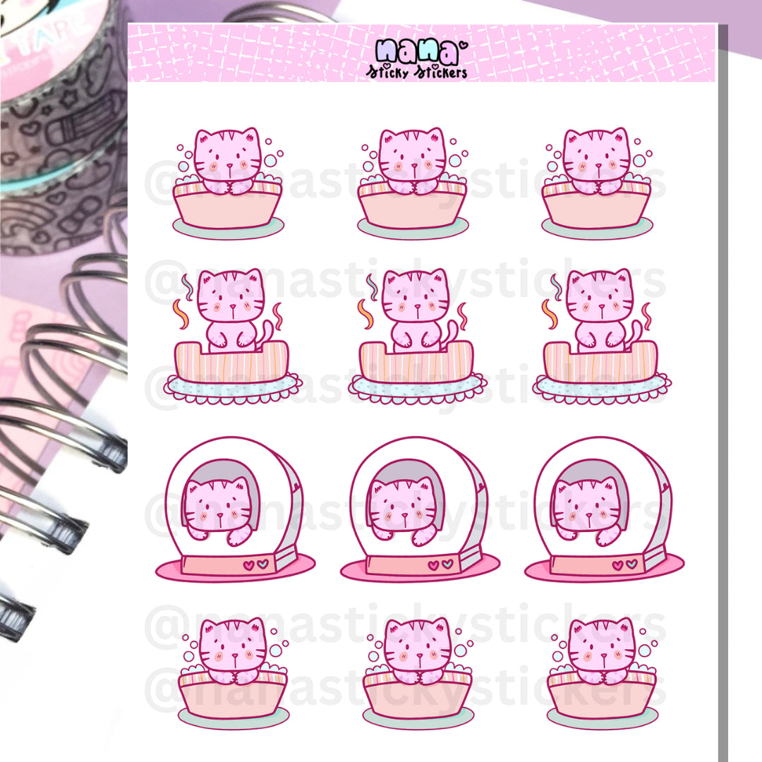 Cat Sheet/S038