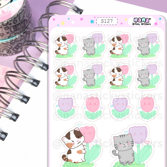 Cats/S127